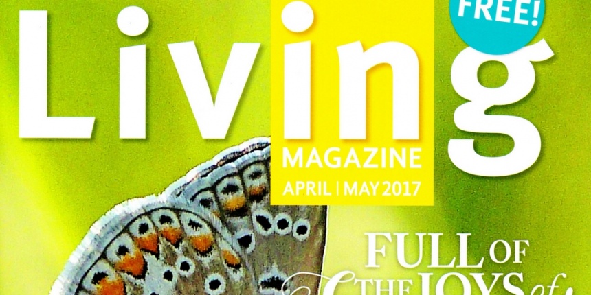 You are currently viewing Living Magazine – Featuring Artisan Central