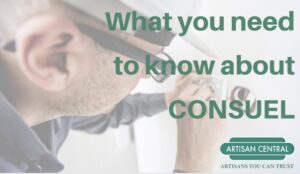 Read more about the article What you need to know about CONSUEL